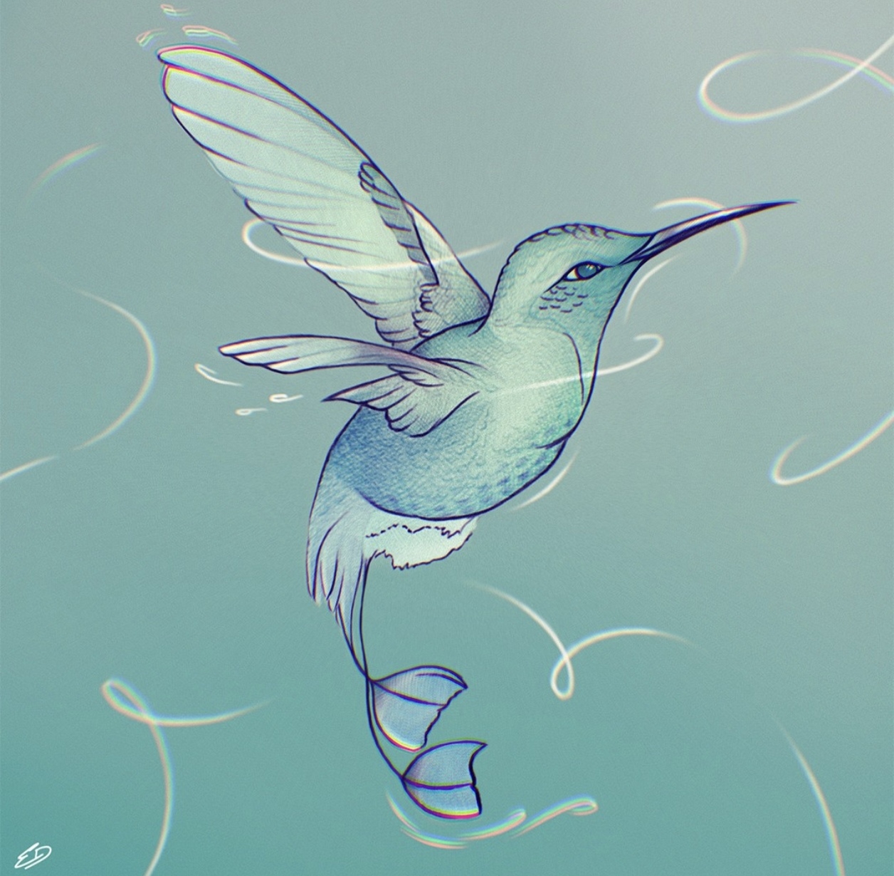 Colibri en vol